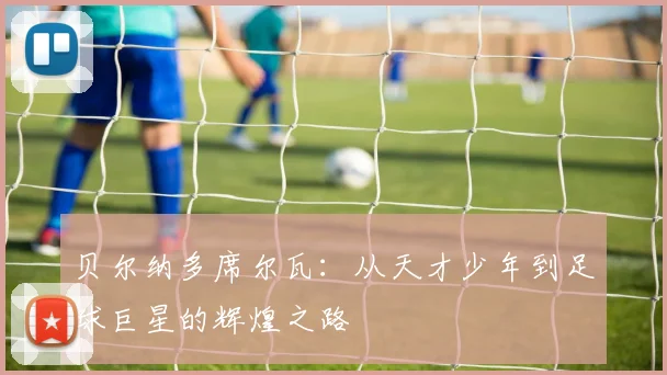 贝尔纳多席尔瓦：从天才少年到足球巨星的辉煌之路