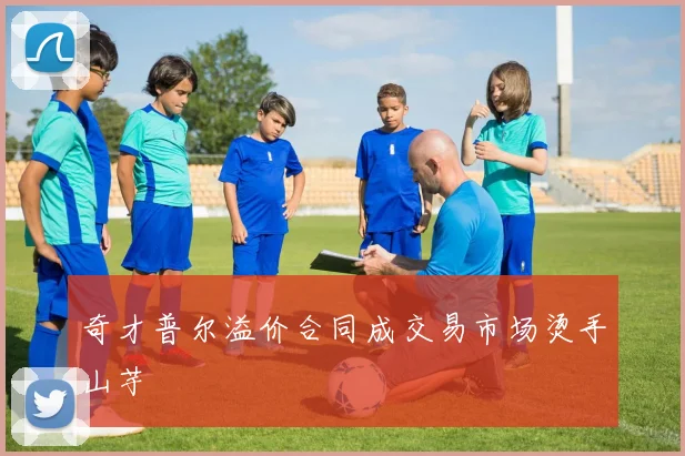 奇才普尔溢价合同成交易市场烫手山芋