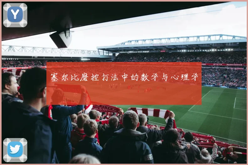 塞尔比磨控打法中的数学与心理学
