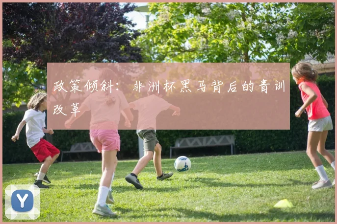 政策倾斜：非洲杯黑马背后的青训改革
