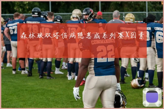 森林狼双塔伤病隐患成系列赛X因素