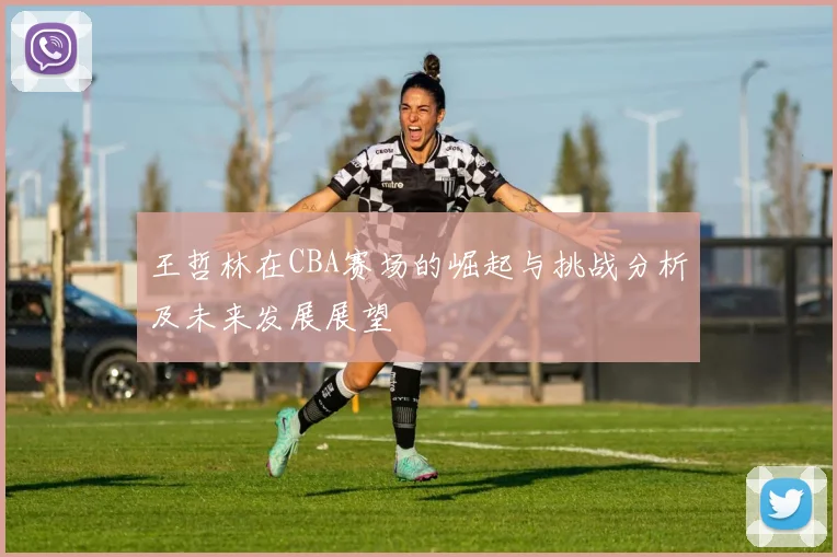 王哲林在CBA赛场的崛起与挑战分析及未来发展展望