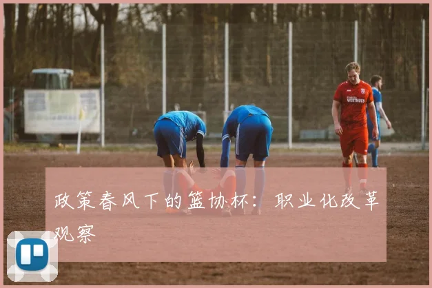 政策春风下的篮协杯：职业化改革观察