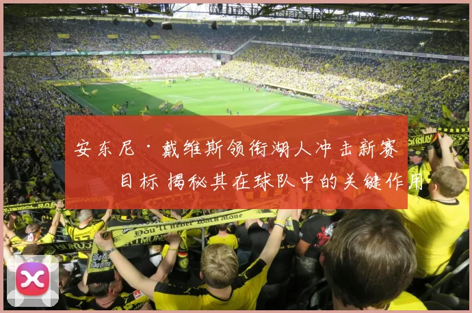 安东尼·戴维斯领衔湖人冲击新赛季目标 揭秘其在球队中的关键作用与影响力