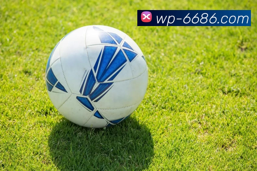 6686官网品牌故事