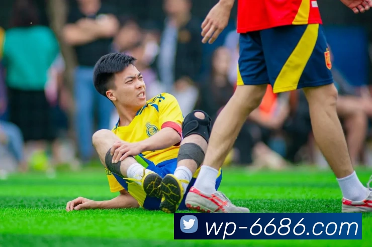 6686官网服务体系